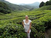 Cameron Highlands, Malaysia