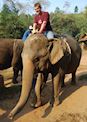 Stuart on an elephant in Thailand