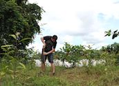 Tim Tree Planting at Abai, Kinabatangan River, Malaysian Borneo