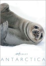 Audley Antarctica Brochure