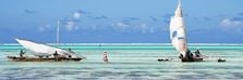 Fishing dhows in Zanzibar