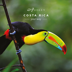 Costa Rica social media ad — Instagram