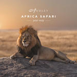 Africa safari social media ad — Instagram