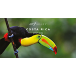 Costa Rica social media ad — Facebook