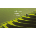 Vietnam social media ad — Twitter
