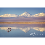Atacama, Chile — key destination image