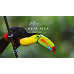 Costa Rica social media ad — Twitter