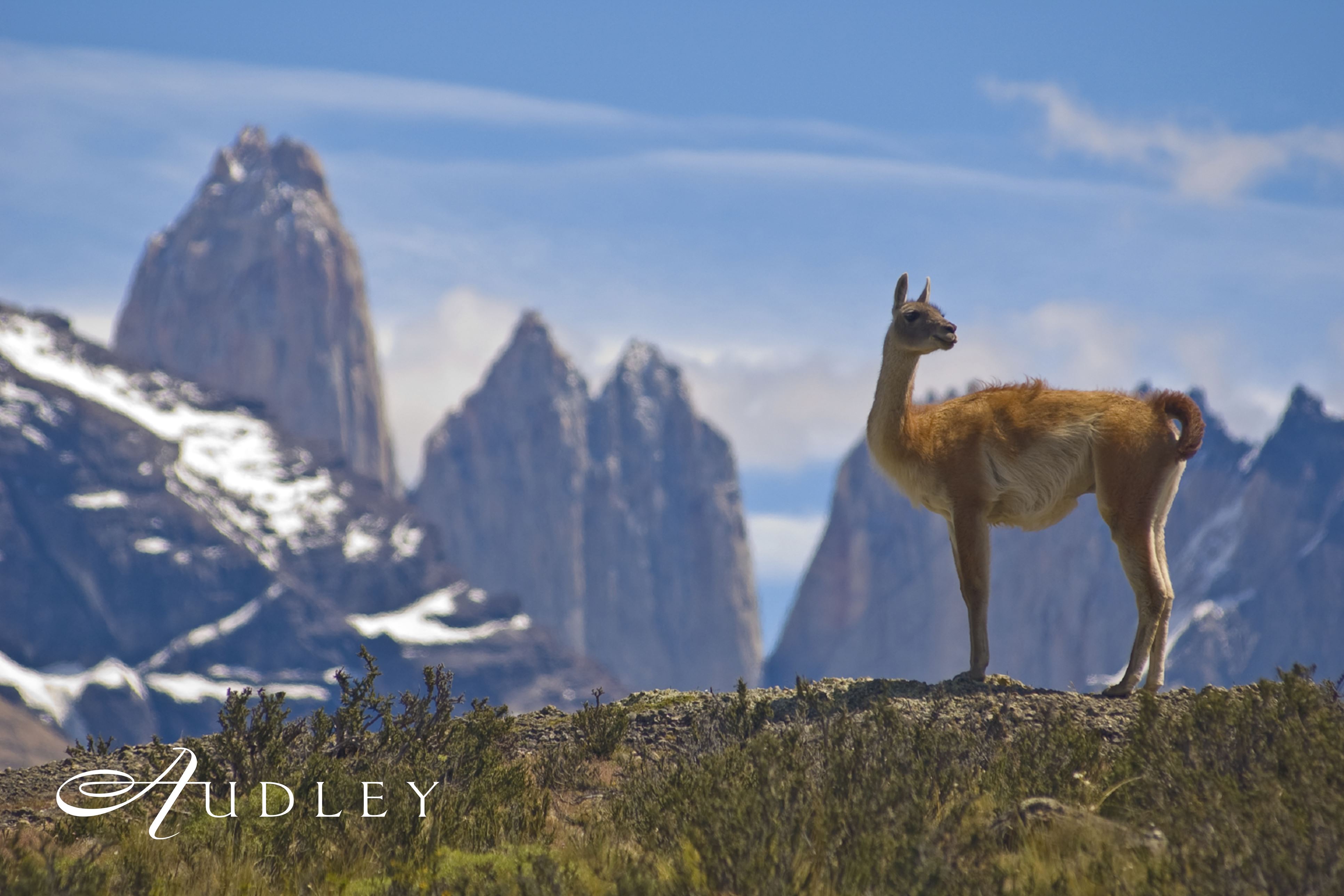 Torres del Paine National Park, Chile — key destination image