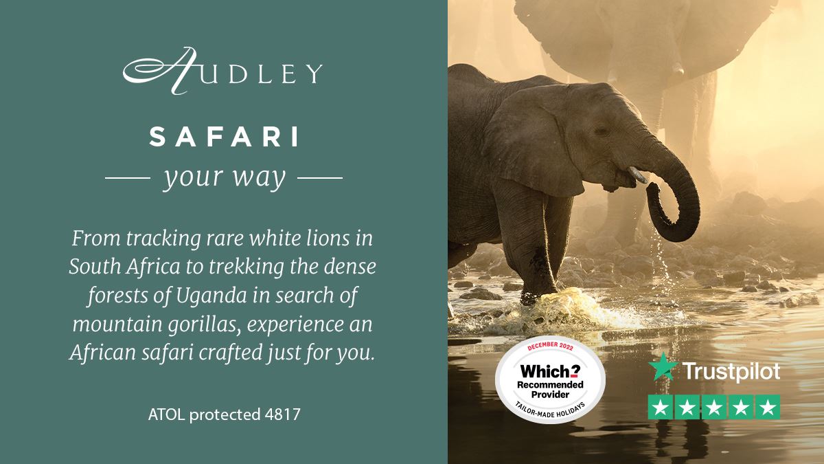 Africa safari social media ad 2024 — Twitter