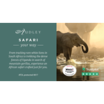 Africa safari social media ad 2024 — Twitter