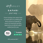 Africa safari social media ad 2024 — Instagram