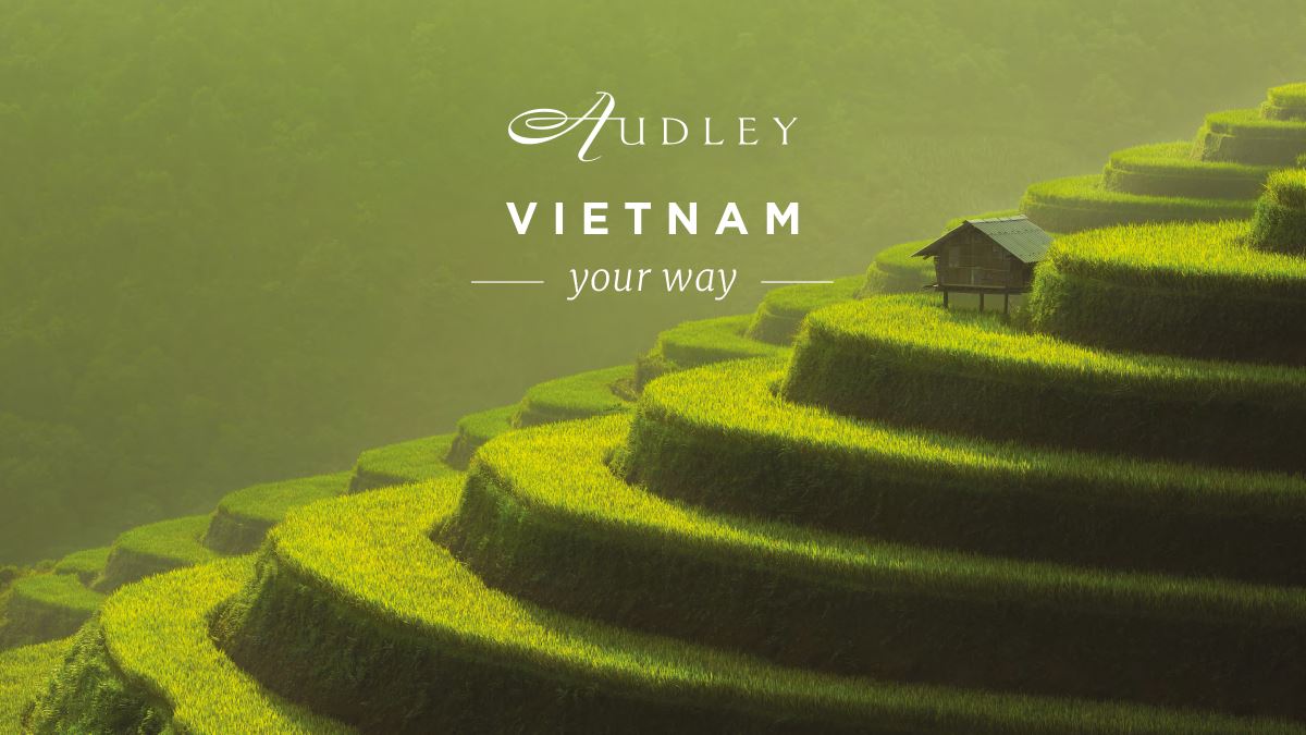 Vietnam social media ad — Twitter