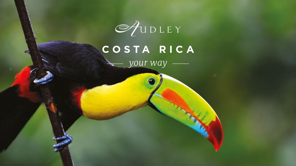 Costa Rica social media ad — Twitter