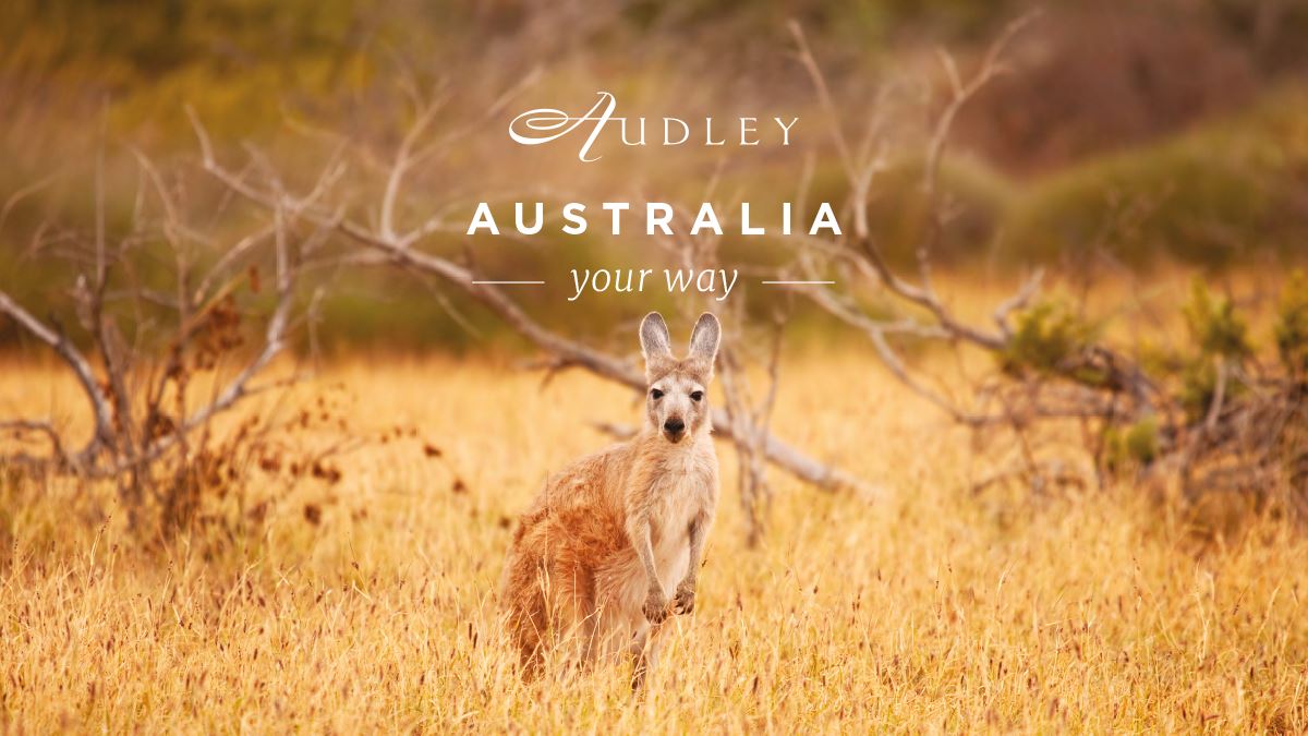 Australia social media ad — Twitter