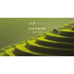 Vietnam social media ad — Facebook