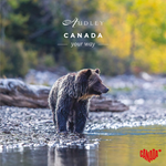 Canada social media ad — Instagram