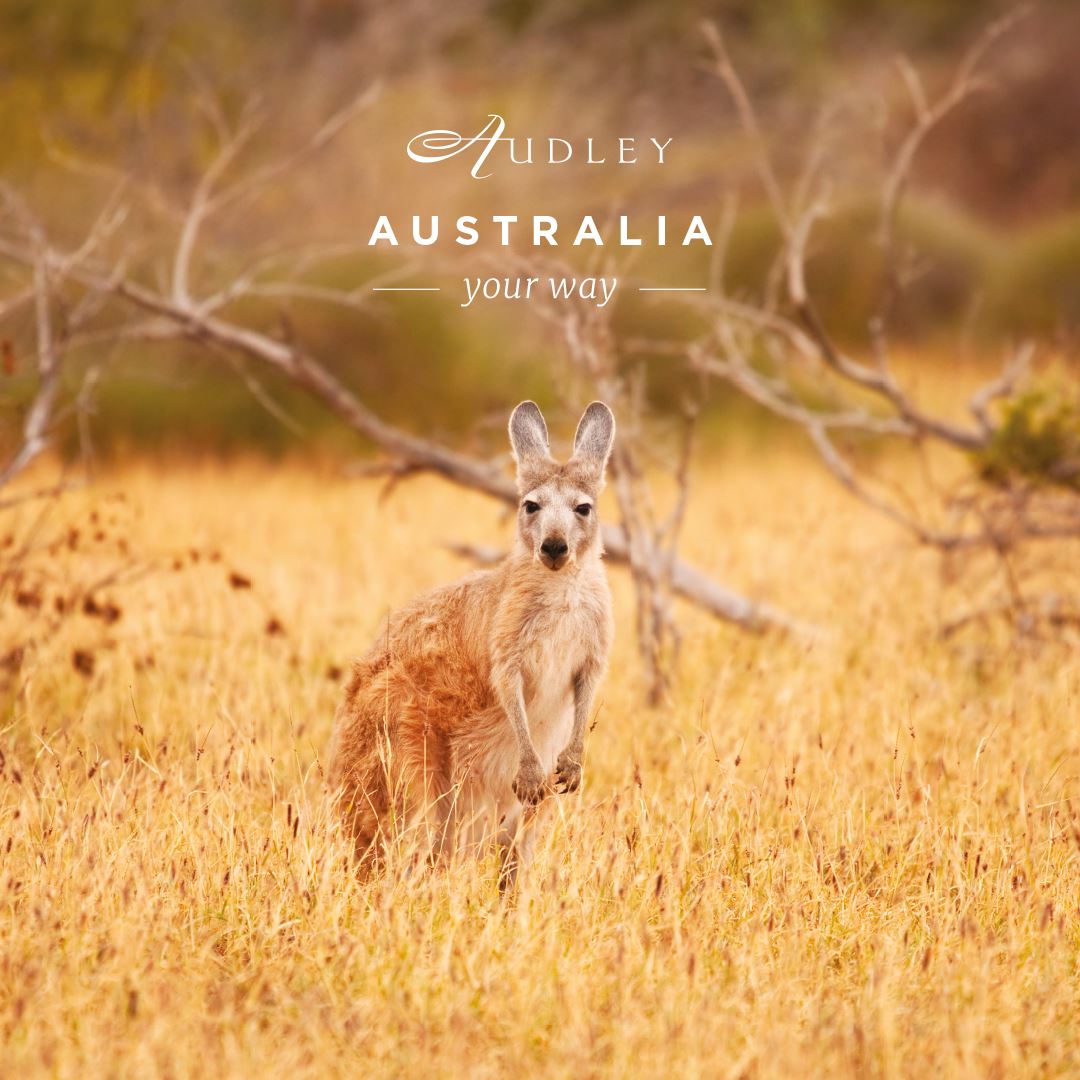 Australia social media ad — Instagram