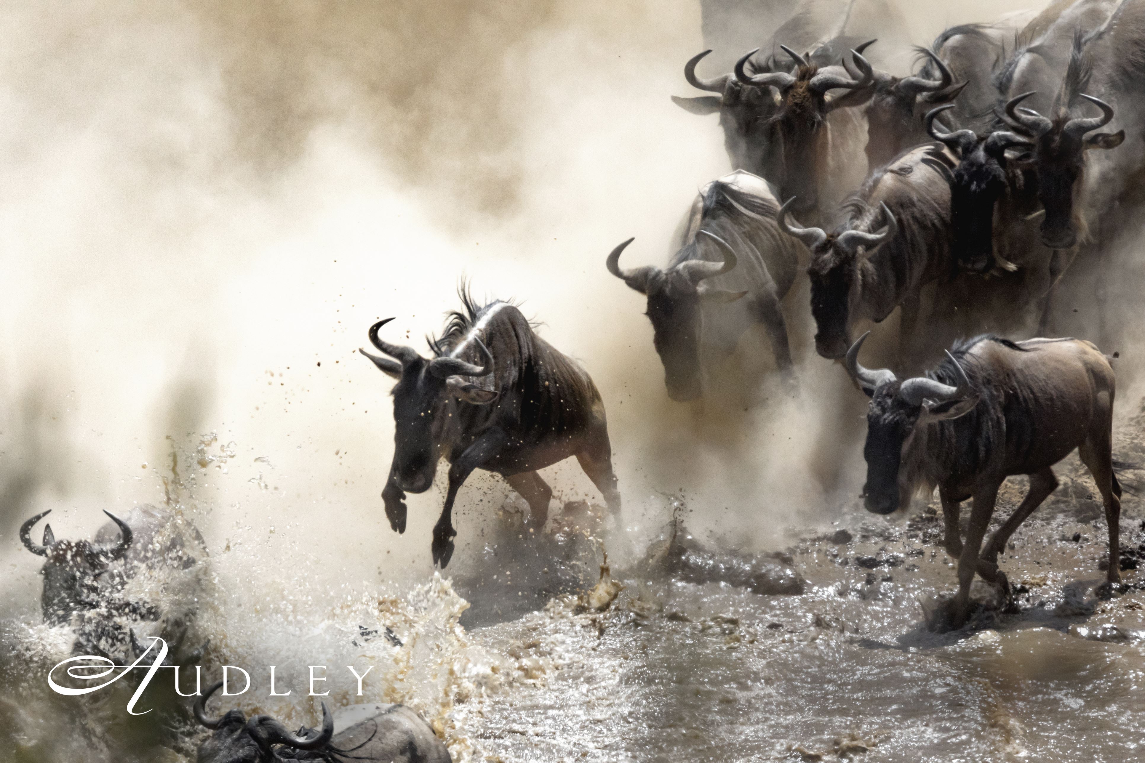 Great Migration, Tanzania — key destination image