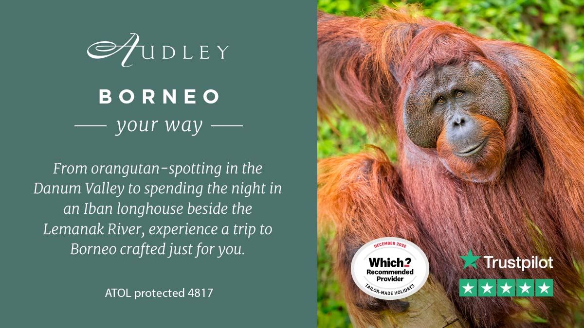 Borneo social media ad 2024 — Twitter