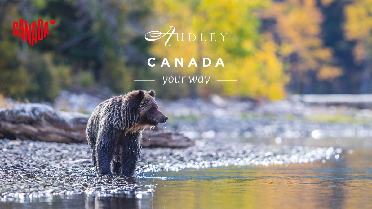 Canada social media ad — Twitter